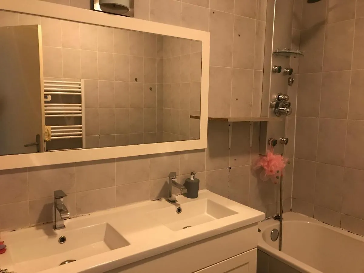 Micro-Salle En Face De La Gare Roanne Apartment